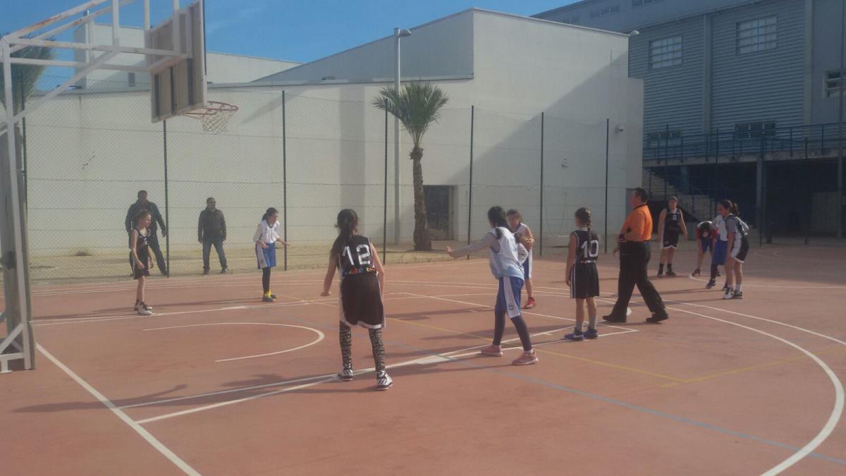 ALEVÍN FEMENINO 44-3 CB TORREVIEJA