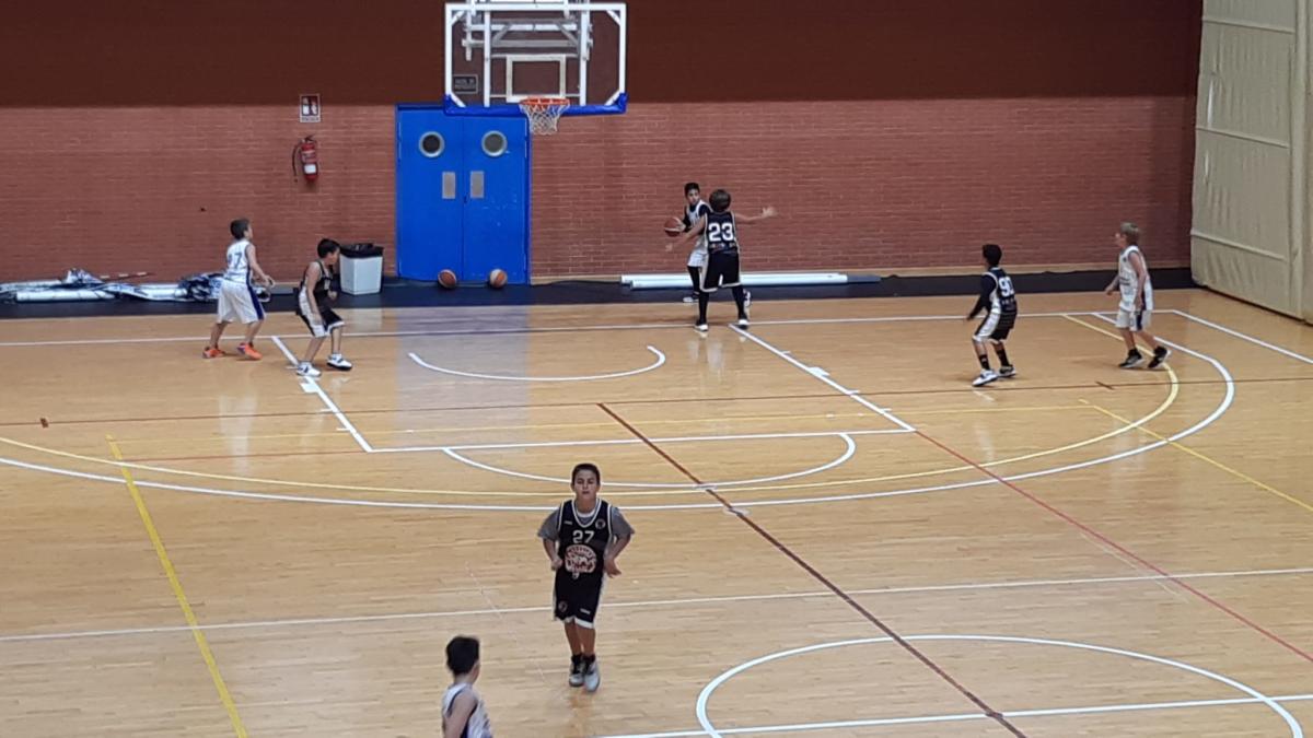 ALEVÍN BLANCO 54-14 ALBUBASKET