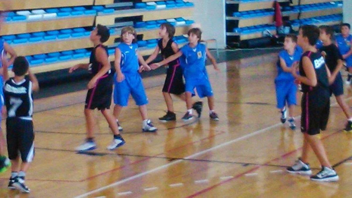 ALEVIN MASCULINO