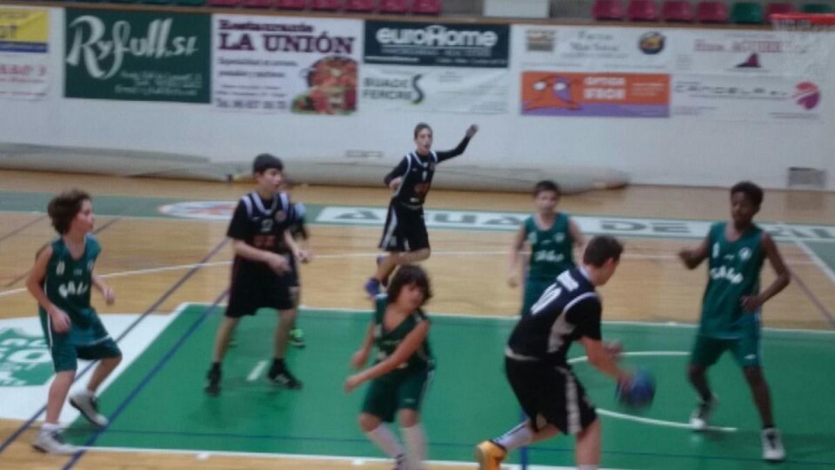 ALEVIN MASCULINO PREFERENTE