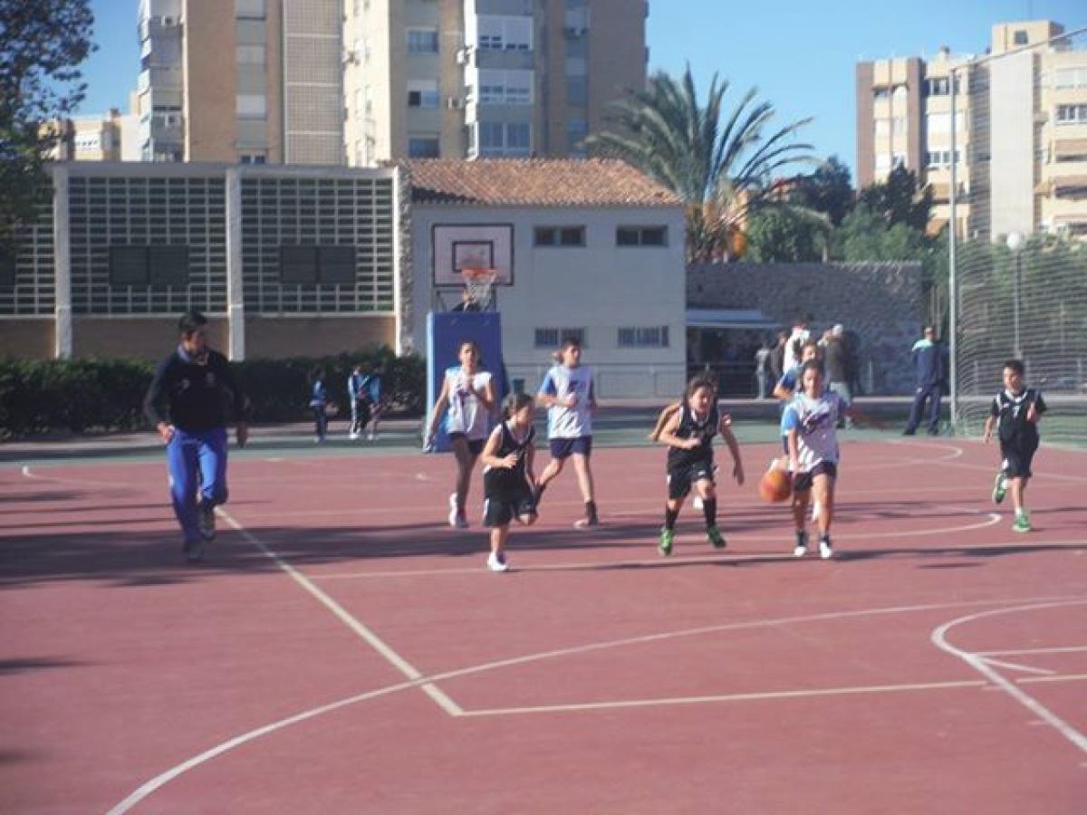 ALEVIN MIXTO