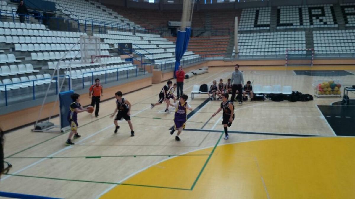 ALEVIN MASCULINO PREFERENTE